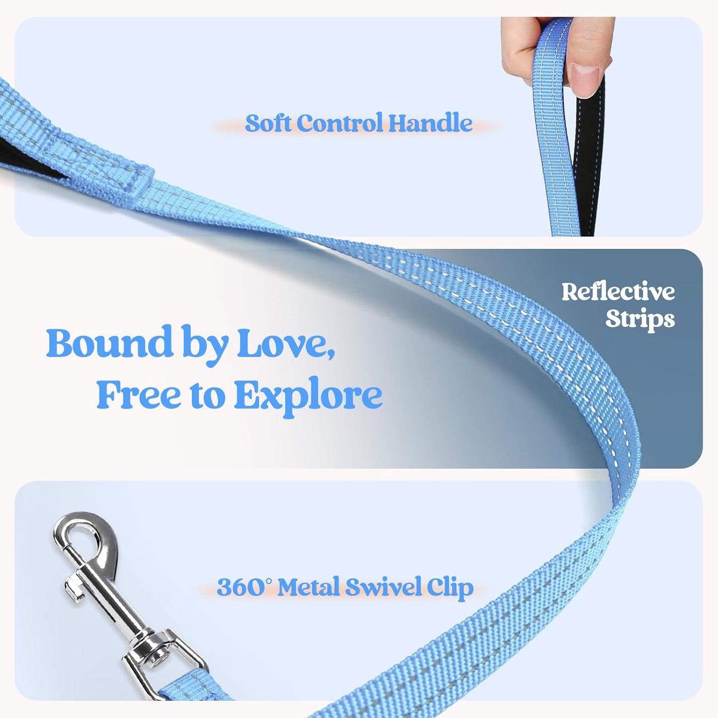 rabbitgoo Dog Harness Small Medium Sized and Leash Set, Step in Soft Light Puppy Vest, Breathable Mesh Pet Harness, Reflective for Safe Easy Walking, Blue & Orange XL