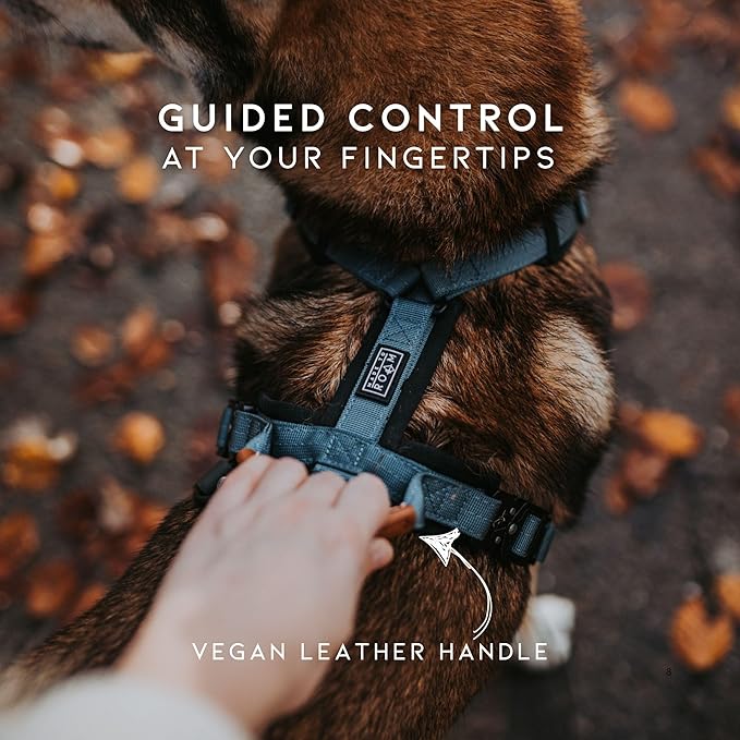 MADE TO ROAM Premium Explorer Harness - Y-Shaped Dog Harness with Adjustable Durable Nylon, Soft Padding, Metal Buckles and Leather Handle for Small, Medium, Large Dogs (Texas Flair, Size 1)