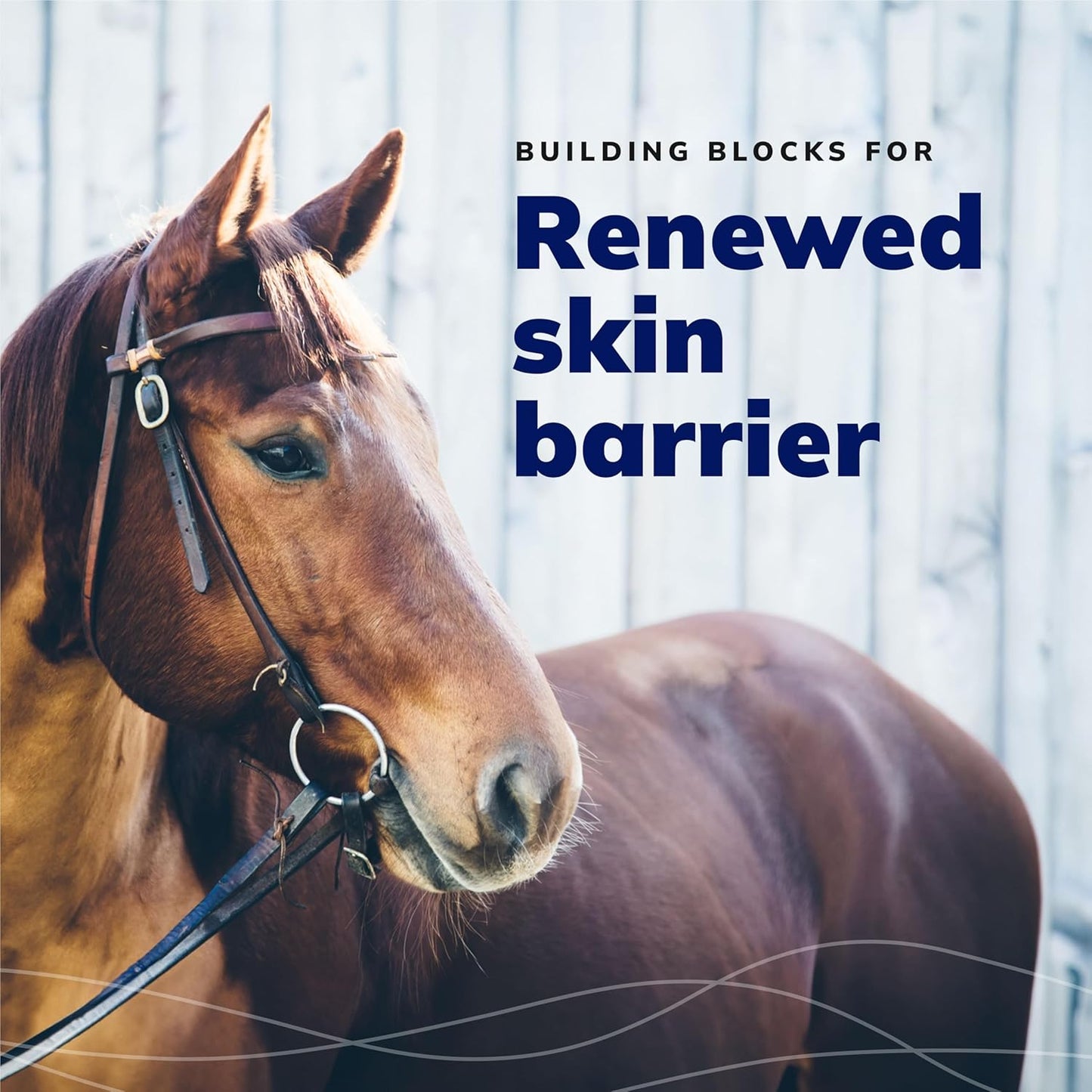 CeraSoothe® CHX+MC Antiseptic Shampoo 8oz