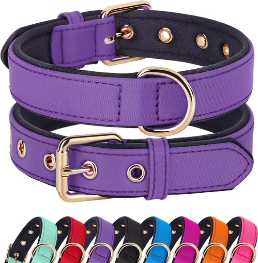 Didog Soft Padded Dog Collars for Small Dogs, Lightweight and Breathable Dog Collar with Metal Buckle for Puppy, Purple, S