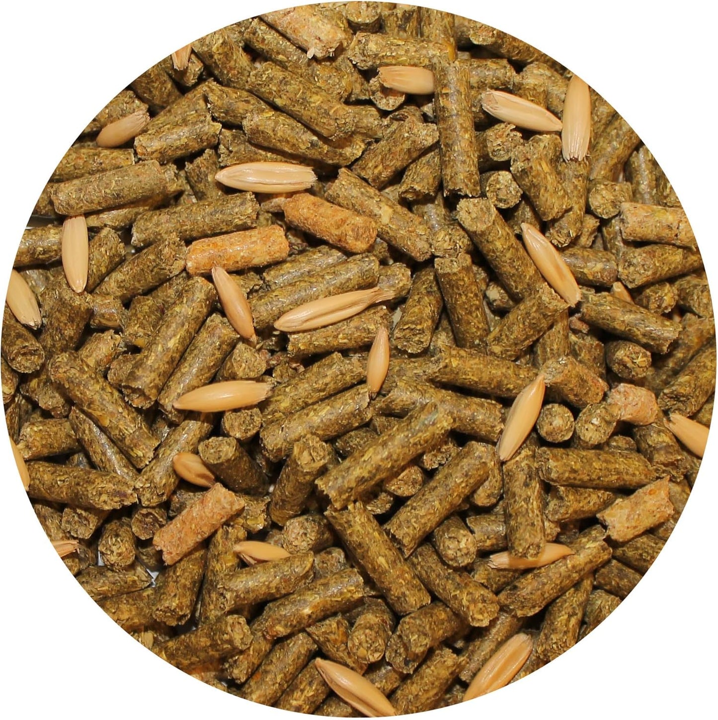 Exotic Nutrition Degu Diet (18lb) - Nutritionally Complete Healthy Pellet Diet with Whole Oats - for Domesticated Pet Degus