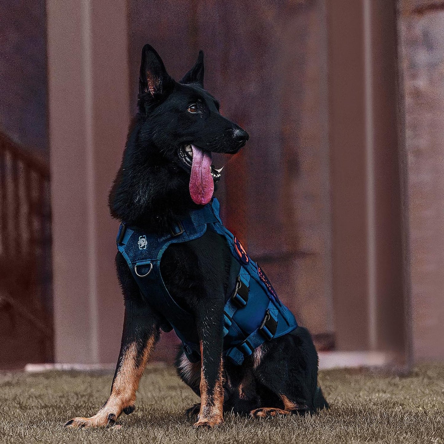 OneTigris Tactical Dog Harness for Small Medium Large Dogs, Mesh Design Service Dog Vest Breathable Military Dogs Molle Vests with Handles, Harness for Walking Hiking Training (Blue, L)