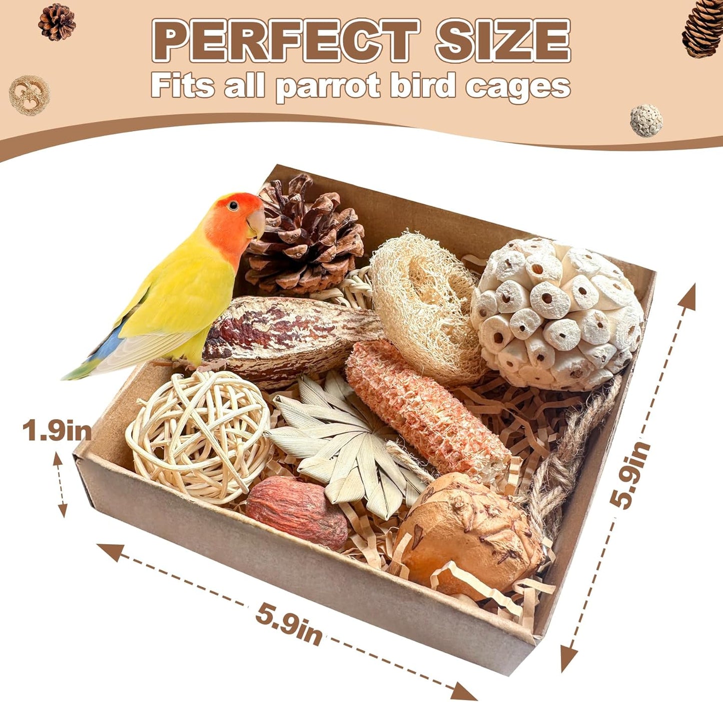 2 in 1 Parrot Toys, Tyotrbs Parakeet Foraging Box DIY Hanging String with Comes with 2 Hooks Bird Toy for Parakeets,Cockatiels,Conures,Love Birds Cage Accessories for Small to Medium Birds