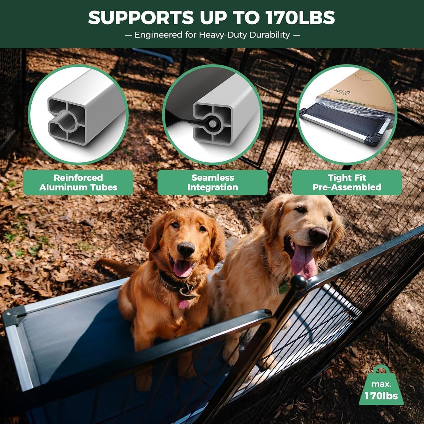 FXW TitanNest Chew-Proof Elevated Dog Bed, Raised Cot for Indoor/Outdoor/Camping Use, Durable & Washable Padded Pet Bed for Toy Dogs, 23.0" L x 17.0" W x 4.5" H, Gray