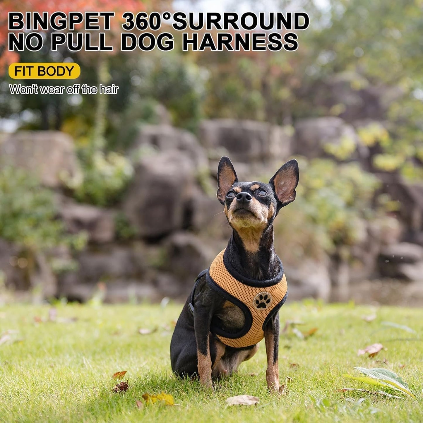 BINGPET No Pull Dog Harness,Soft Mesh Breathable All Weather Vest Harness,Safety Protection Design Durable Adjustable Step-in Easy Walk Dog Harness for Small Medium Large Dogs(Beige,XS)