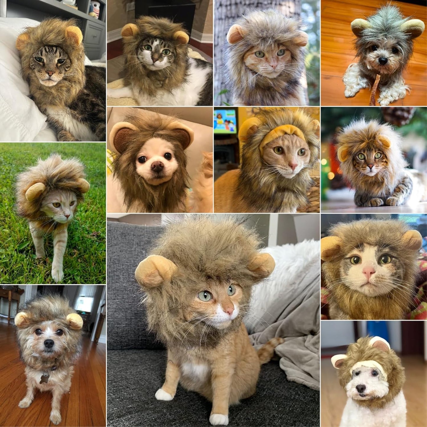 Enjoying Cat Lion Mane Costume, Small Dogs Halloween Outfit, Lion Mane Wig for Cat Cosplay, Kitten Lion Hat for Halloween Themed Party, Daily Cosplay