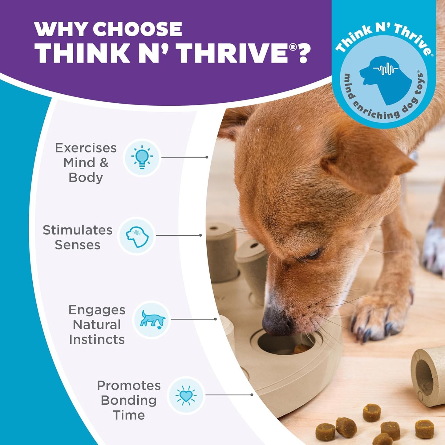 Outward Hound by Nina Ottosson Dog Smart Treat Puzzle Enrichment Toy, Level 1 Beginner, Tan, Composite