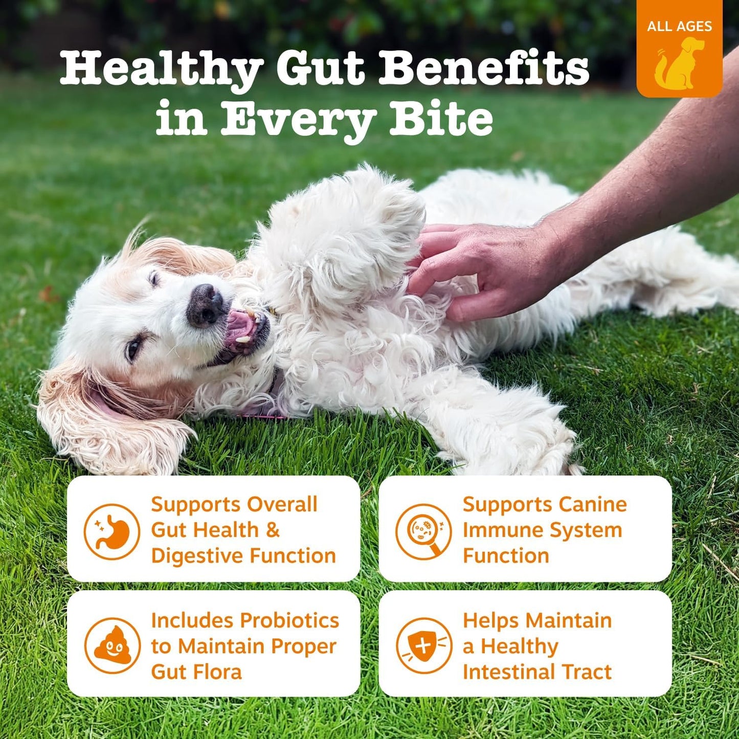 Zesty Paws Probiotics for Dogs, Digestive Enzymes Gut Flora, Digestive Health, Diarrhea & Bowel Support, DE111, Dog Probiotics Soft Chew for Pet Immune System, Chicken, 90 Ct