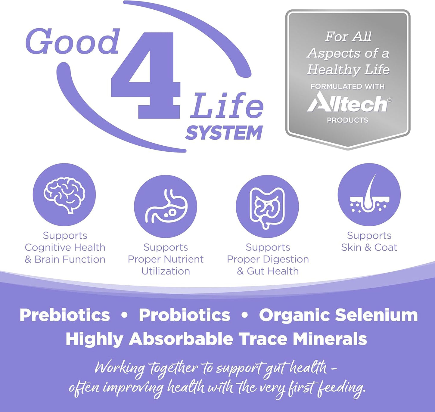 NutriSource Element Series Upland Stream Dry Dog Food, Quail, Rabbit & Trout, 12LB