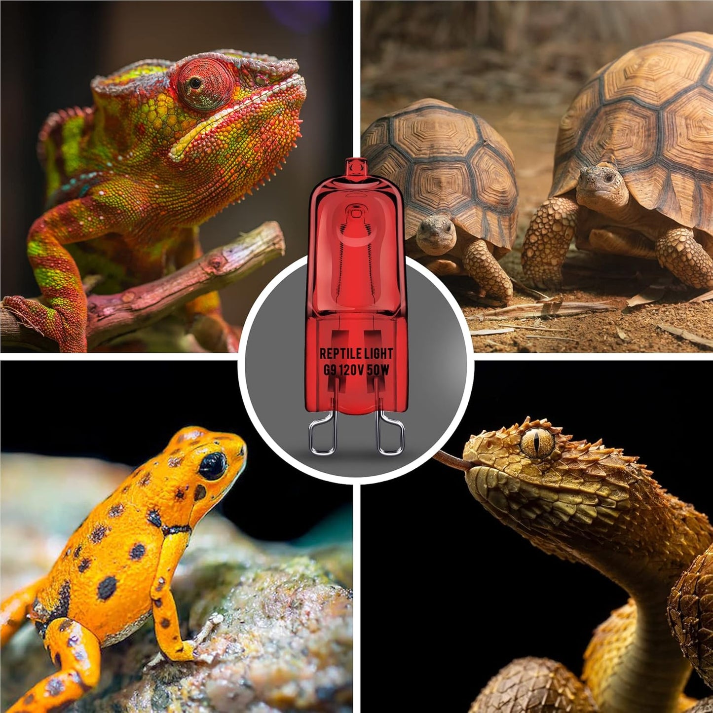 Briignite G9 Infrared Heat Lamp Bulbs for Reptile, Mini Reptile Light, Dimmable Night Red UVA Reptile Heat Lamp, 2 Pin Base Mini Heat Bulbs 50W, Bearded Dragon Turtle Lizard, 2Pack