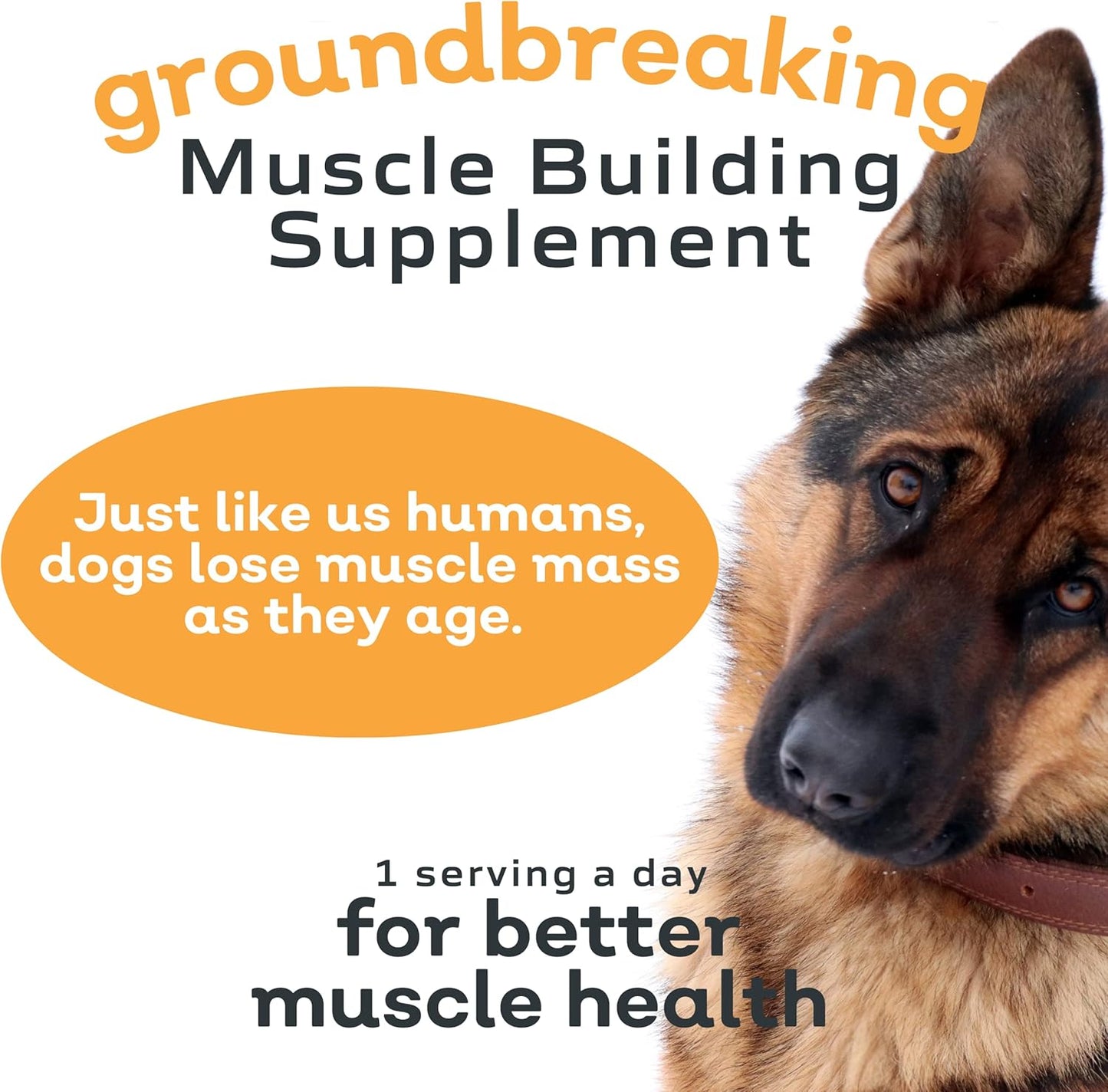 MYOS Canine Muscle Formula - All-Natural Muscle Building Supplement - Helps Reduce Muscle Loss in Dogs Due to Normal Aging and Improves Recovery from Injury or Surgery