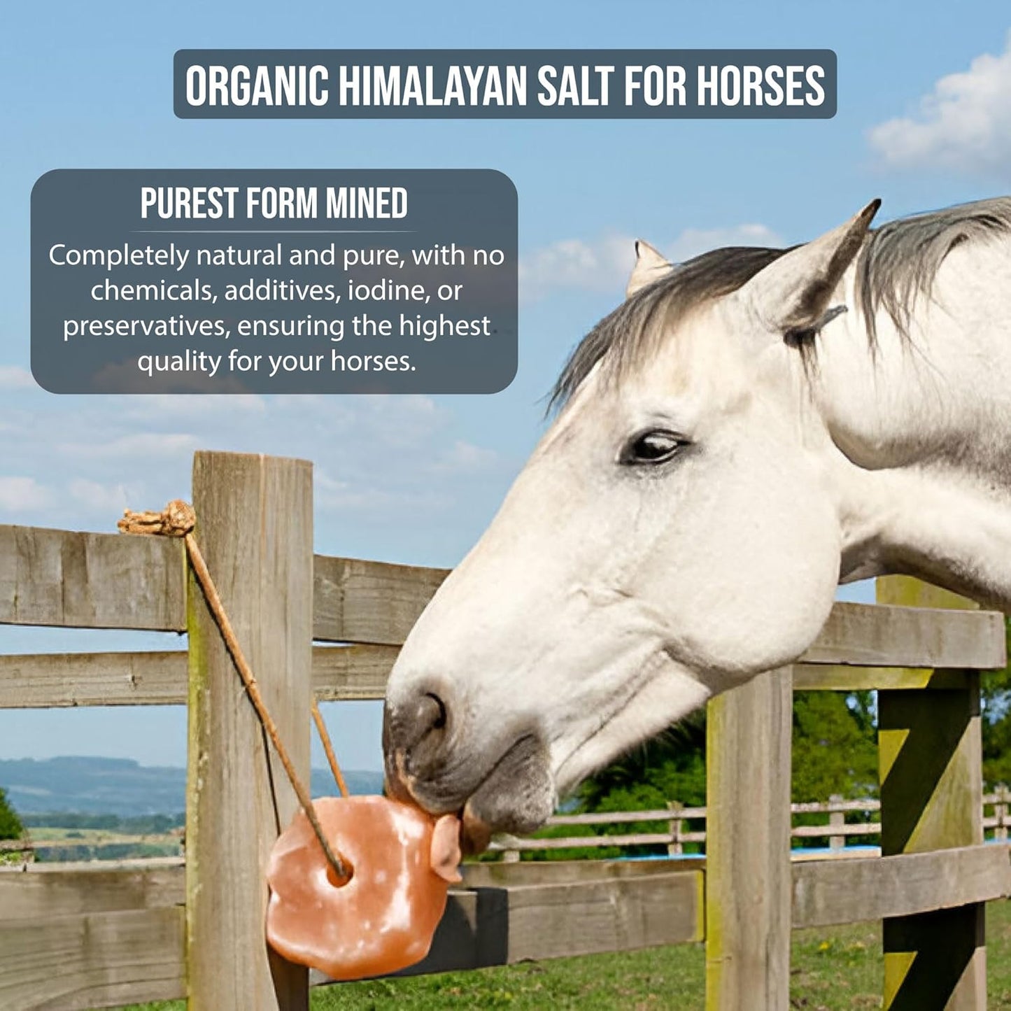 Horse Salt Lick 6lb on Rope for Horse