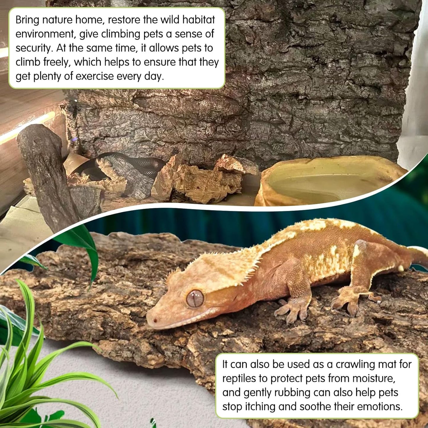 kathson 6Pcs Cork Tile Background Bark 11.8”Lx7.9”W Reptile Tank Background Terrarium Backdrop Wall Decor Natural Reptile Climbing Mat for Spider Gecko Lizard Chameleon Bearded Dragon Turtle Snake