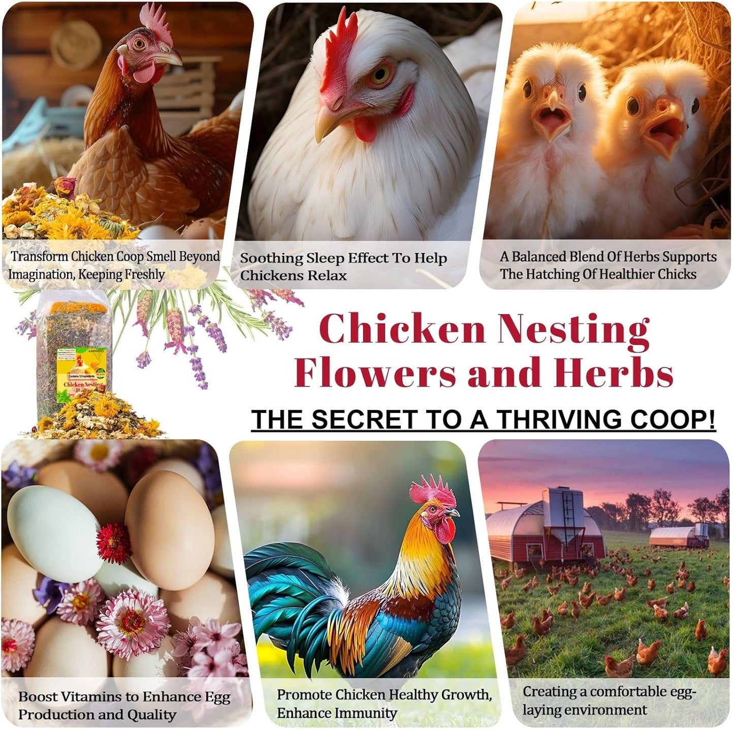 21 oz Chicken Nesting Herbs Flowers - 1.3lb Poultry Blend Herbs 12 Premium Nesting Box Herbs for Chicken Coop Refresher Boost Egg Laying Hens Herb Supplement for Backyard