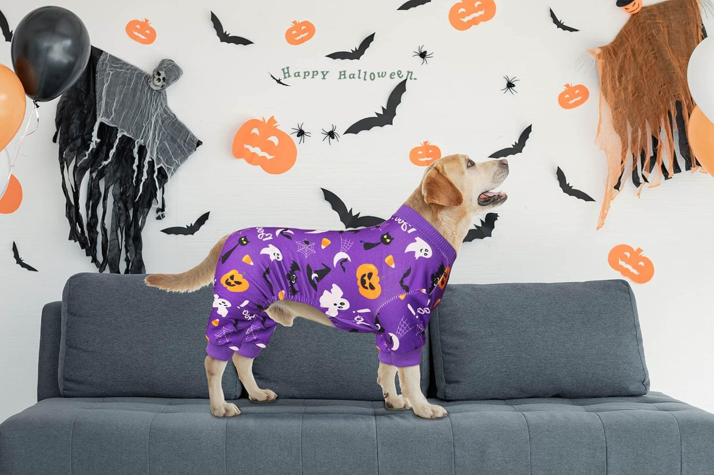 Dog Halloween Pajamas Dog Costumes Pjs Stretchy Funny Costumes Pet Clothes Outfit Pajamas for Small Medium Dogs(S/M)