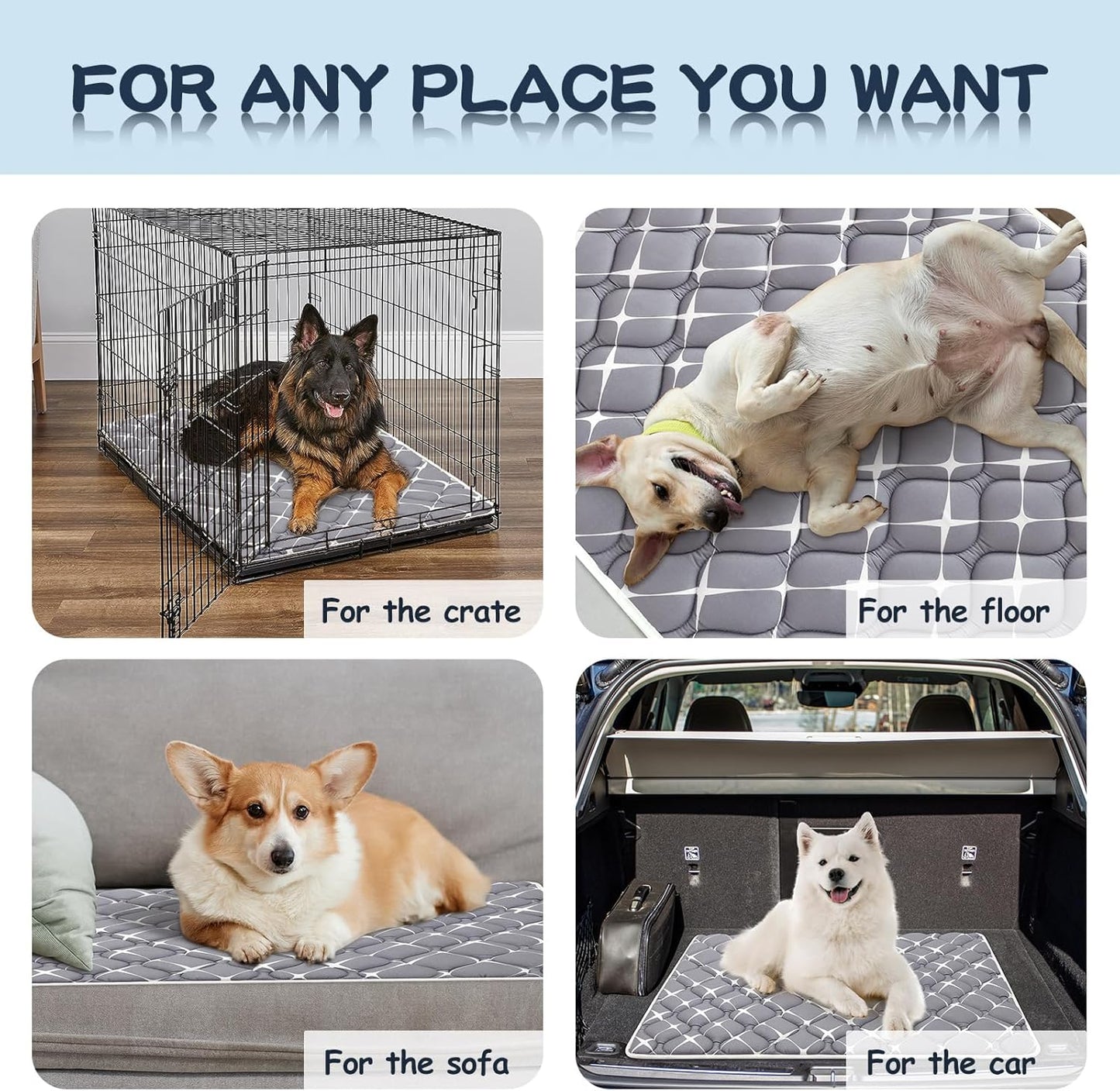 Bubble bear Dog Crate Mat - Ultra Soft, Washable & Anti-Slip Kennel Pad for Small/Medium/Large Dogs, Dark-Hued to Hide Stains (48"x30")