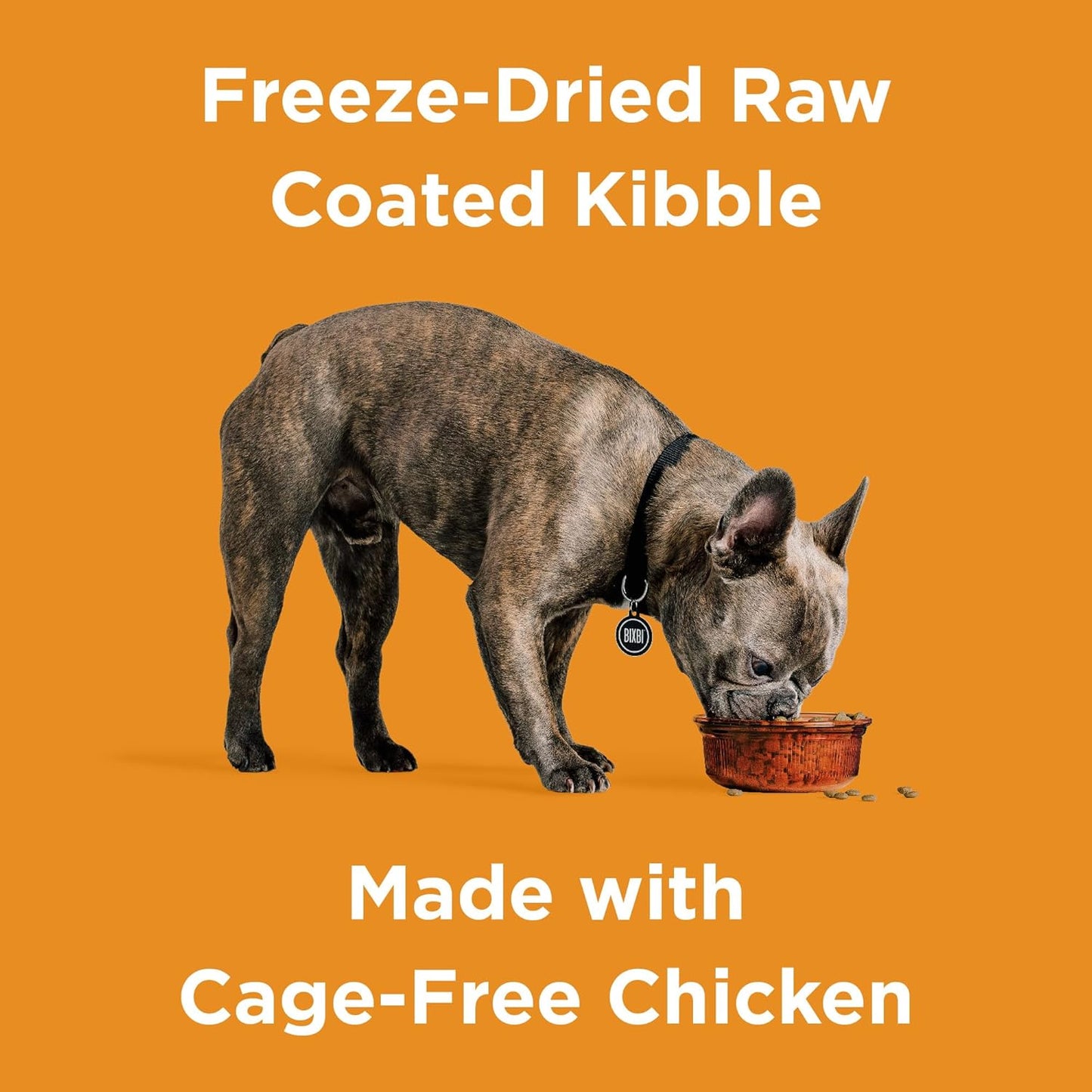 BIXBI Rawbble Dry Dog Food, Chicken, 4 lbs - USA Made with Fresh Meat - No Meat Meal & No Corn, Soy or Wheat - Freeze Dried Raw Coated Dog Food - Minimally Processed for Superior Digestibility