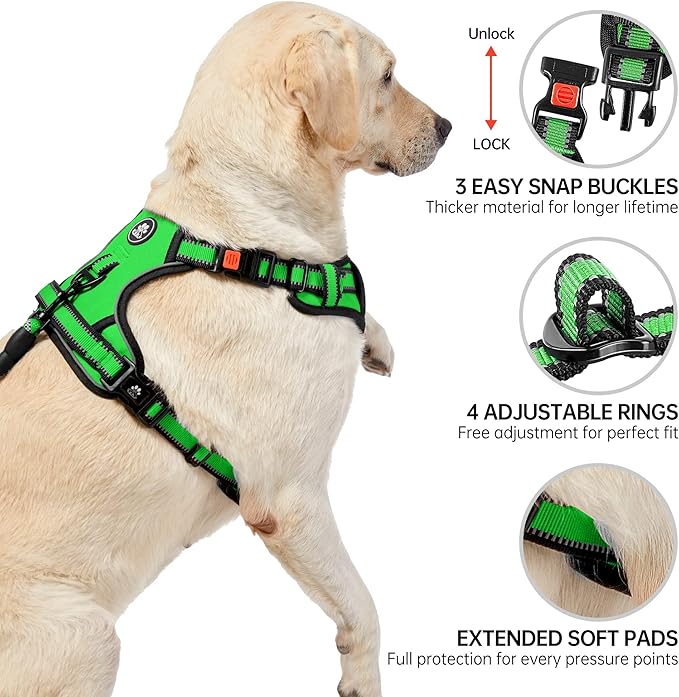 NESTROAD No Pull Dog Harness,Adjustable Oxford Dog Vest Harness with Leash,Reflective No-Choke Pet Harness with Easy Control Soft Handle for Small Dogs(Small,FluorescentGreen)