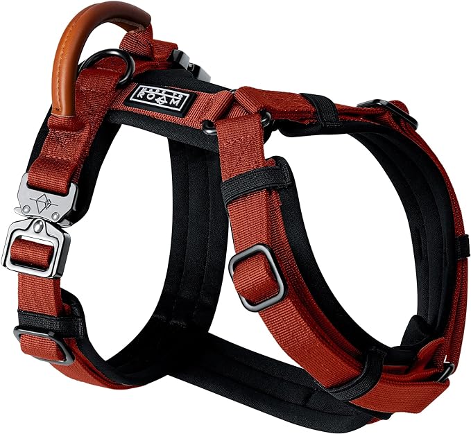 MADE TO ROAM Premium Explorer Harness - Y-Shaped Dog Harness with Adjustable Durable Nylon, Soft Padding, Metal Buckles and Leather Handle for Small, Medium, Large Dogs (Texas Flair, Size 7)