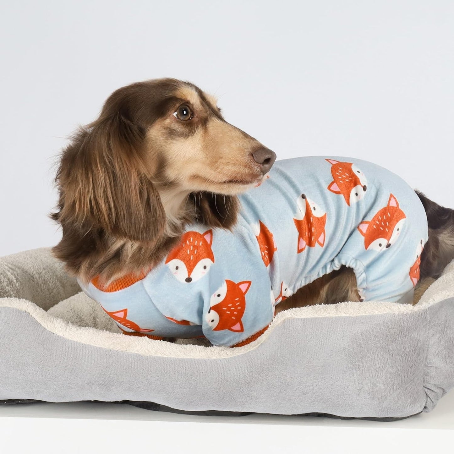Fitwarm Funny Fox Dog Pajamas, Warm Dog Onesie, Dog Clothes for Small Dogs Girl Boy, Lightweight Velvet, Pet Outfit, Gray, Orange, Large