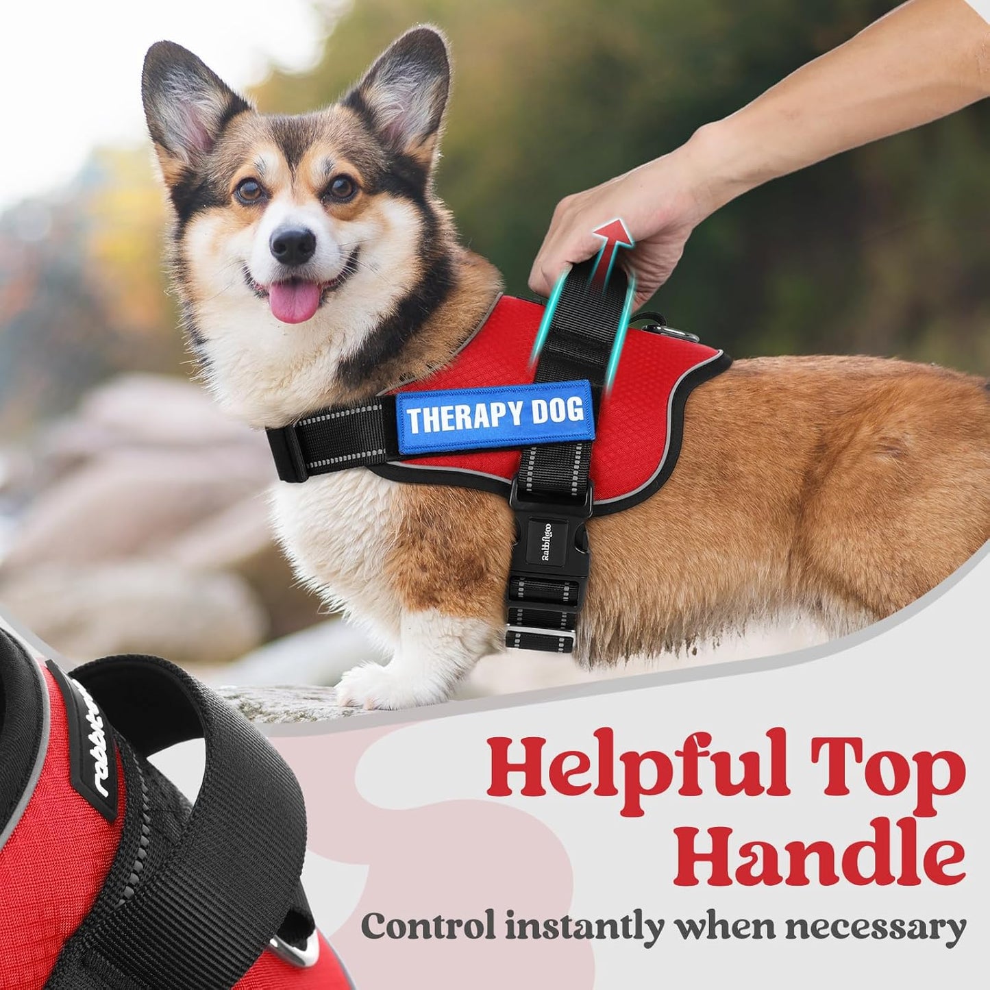 rabbitgoo Dog Harness for Small, Easy On Pet Vest with One Buckle, No Pull Adjustable Service Harness with D-Ring & Handle, Reflective for Safety Walking, Training, Red, S