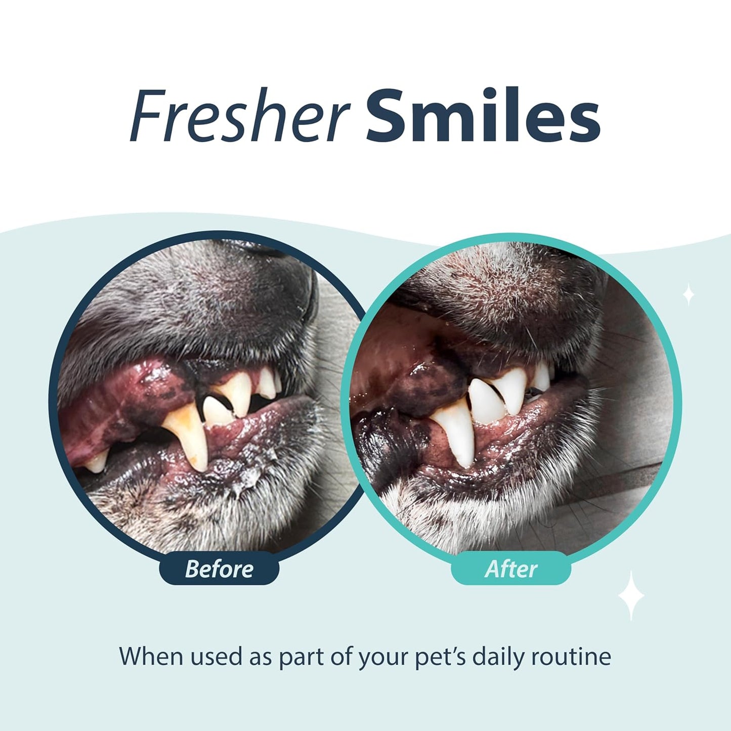 Dental Fresh Water Additive for Dogs, Original Formula, 64oz – Dog Breath Freshener and Dog Teeth Cleaning for Dog Dental Care– Add to Water