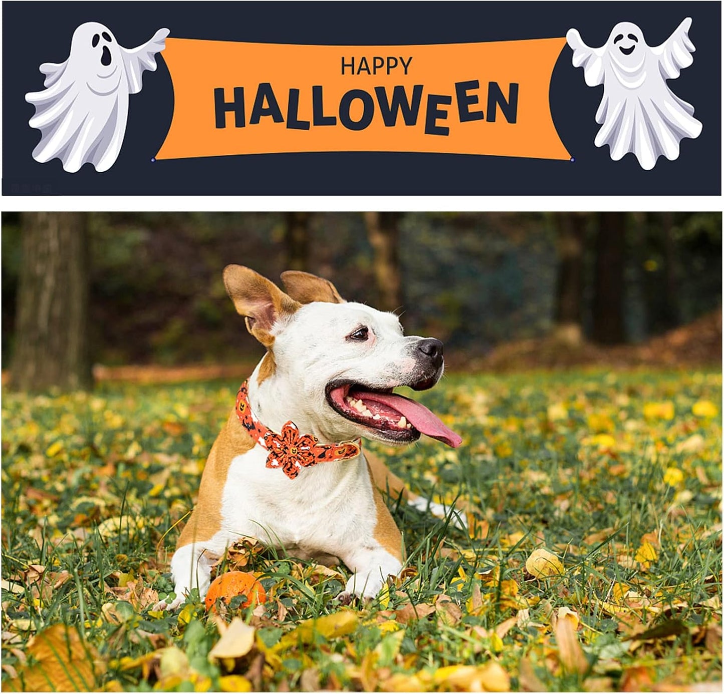 Unique style paws Halloween Dog Collar with Flower Tie Cotton Adjustable Puppy Collar for Small Medium Large Dogs-L