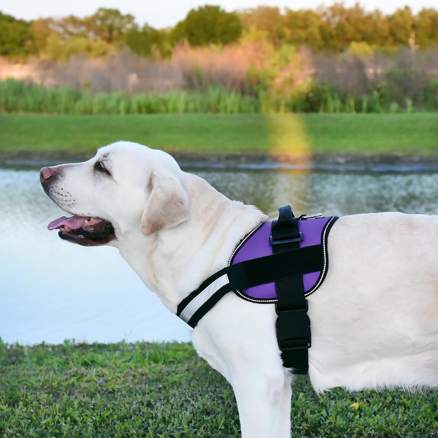 Dogline Dog Harness, Reflective No-Pull Adjustable Vest with Handle for Walking, Training, Breathable, No - Choke Harness for Small, Medium or Large Dogs Room for Patches Girth 22"-28" in Purple