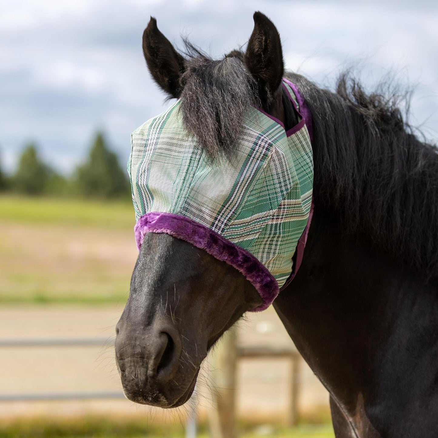 Kensington Fly Mask with Fleece Trim for Horses — Protects Face and Eyes from Flies and Sun Rays While Allowing Full Visibility — Breathable and Non Heat Transferring, XX-Large, Imperial Jade