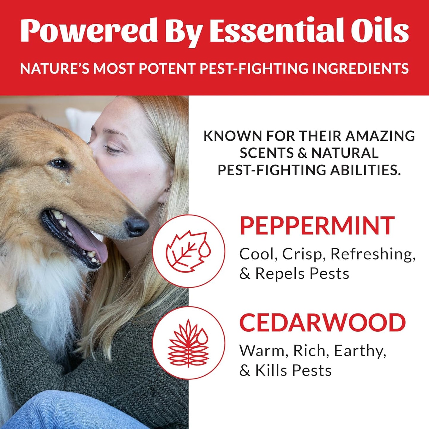 Skout's Honor Flea and Tick Yard Spray - Natural Peppermint & Cedarwood Formula, Helps to Protect from and Against Fleas, Ticks and Mosquitos, Covers upt o 5,000 Sq F, 32 oz.