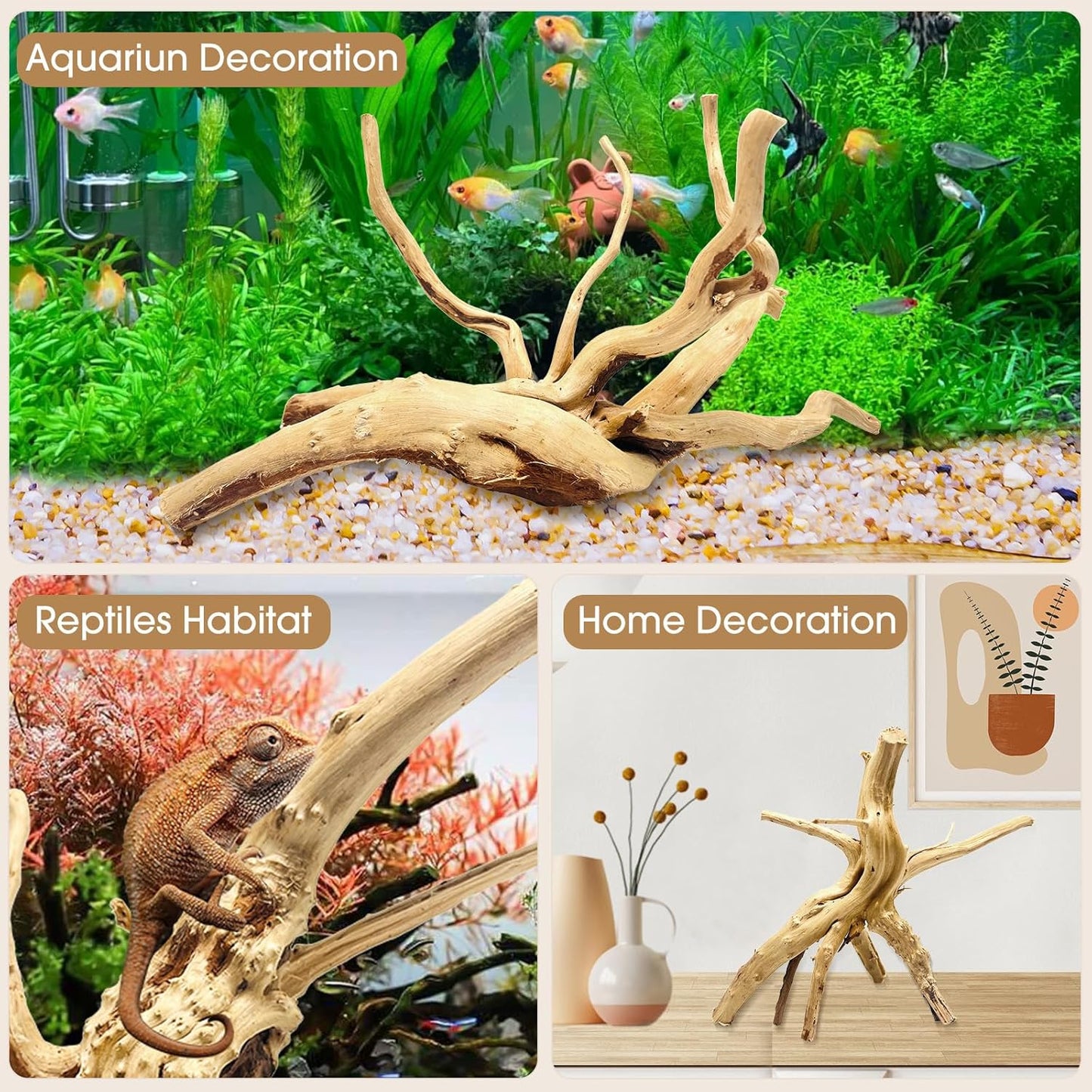 Natural Small Spiderwood Driftwood for Aquarium Decor Rptile Fish Tank Decoration Assort Branch 4-7'' 8 Pcs