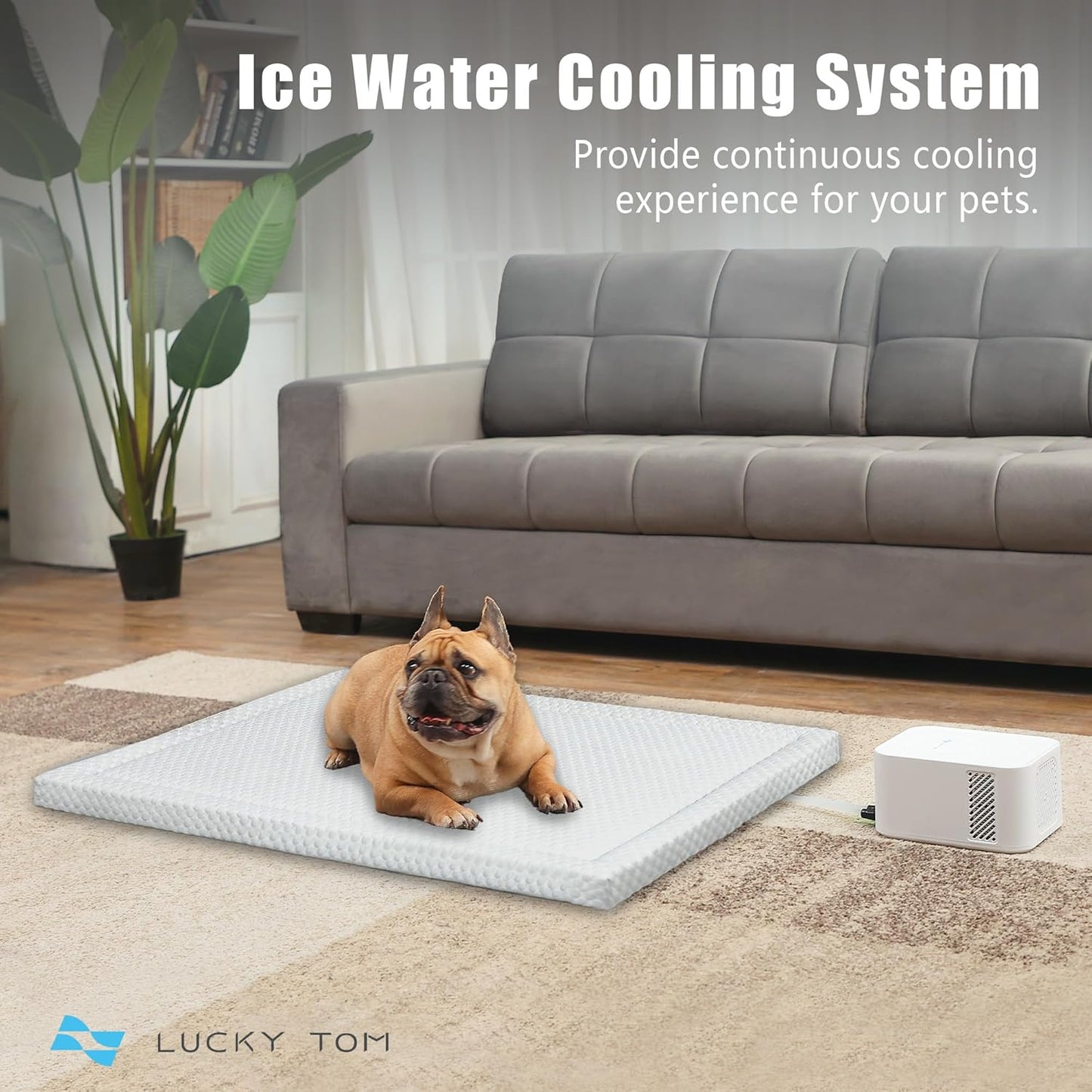 Pet Pad Cooling System for Summer, Consistent Cooling Water Mat for Dogs and Cats, No Refrigeration or Chemical Gel Needed, Machine Washable Bed, Ideal for Home and Crates (Gray, XL)