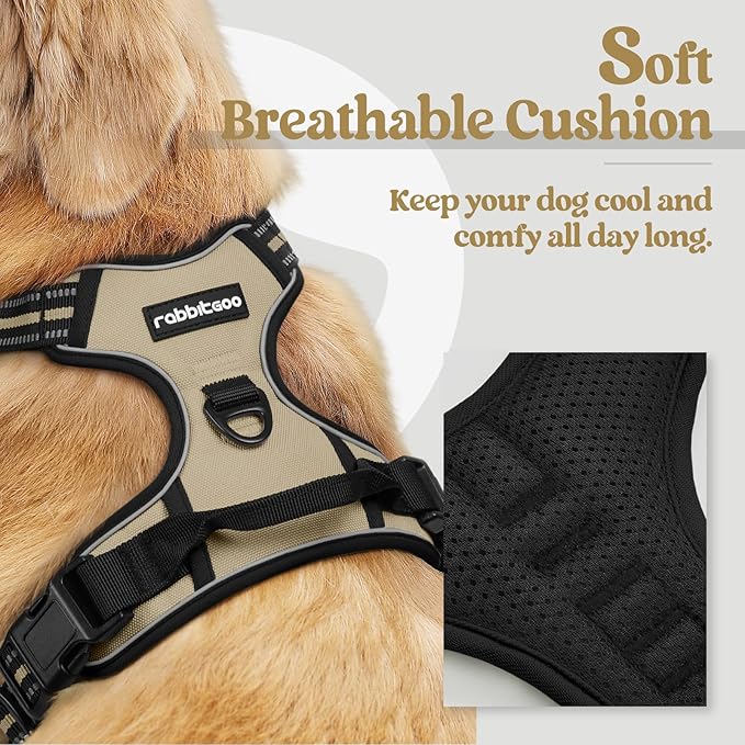 rabbitgoo Dog Harness No Pull with 2 Leash Clips, Adjustable Soft Padded, Reflective Oxford No Choke Pet Vest with Easy Control Handle for Small Dogs, Beige, S