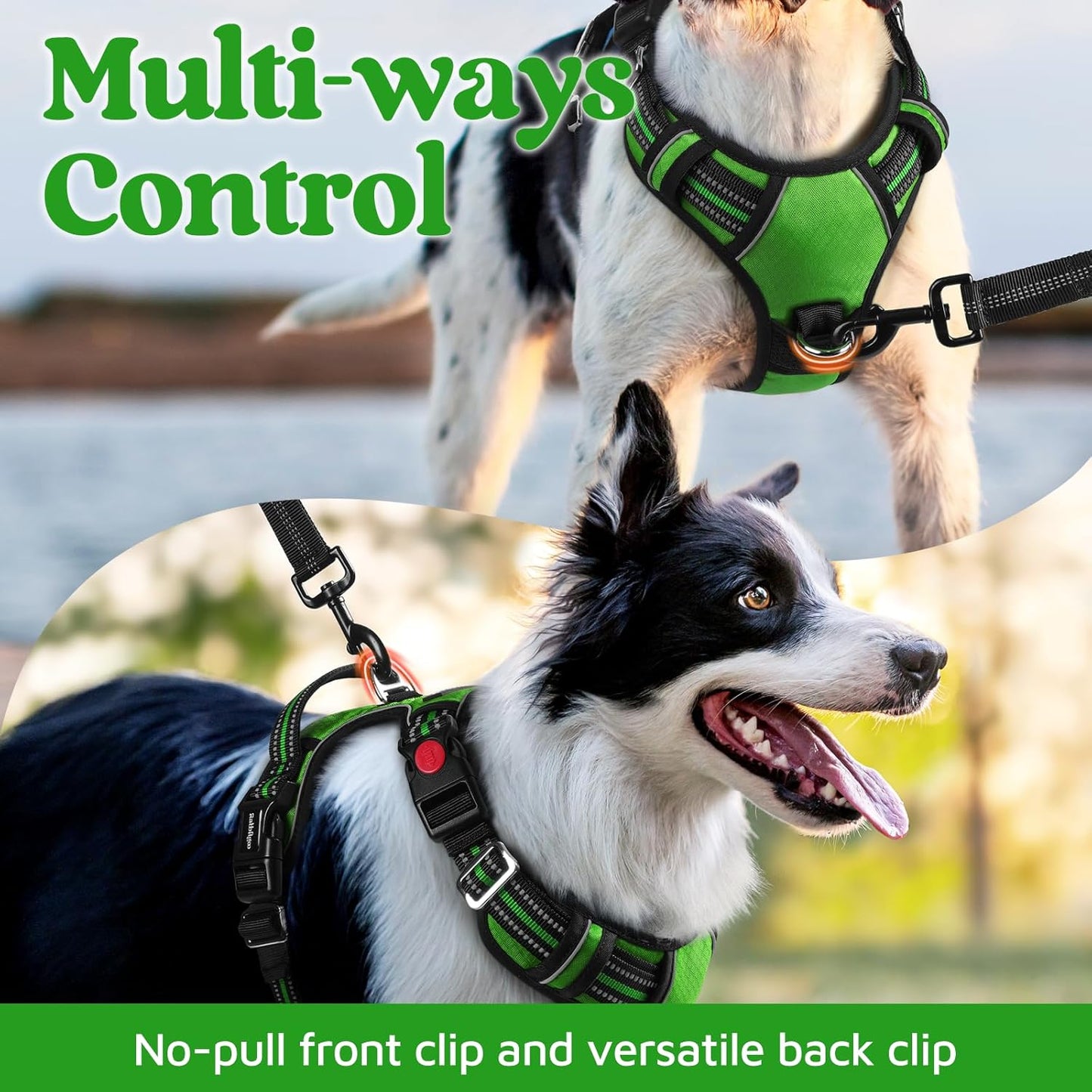 rabbitgoo Dog Harness Small Sized, No Pull Dog Vest with 3 Buckles, Adjustable Soft Padded Pet Harness with Easy Control Handle and Reflective Strips, Green, S