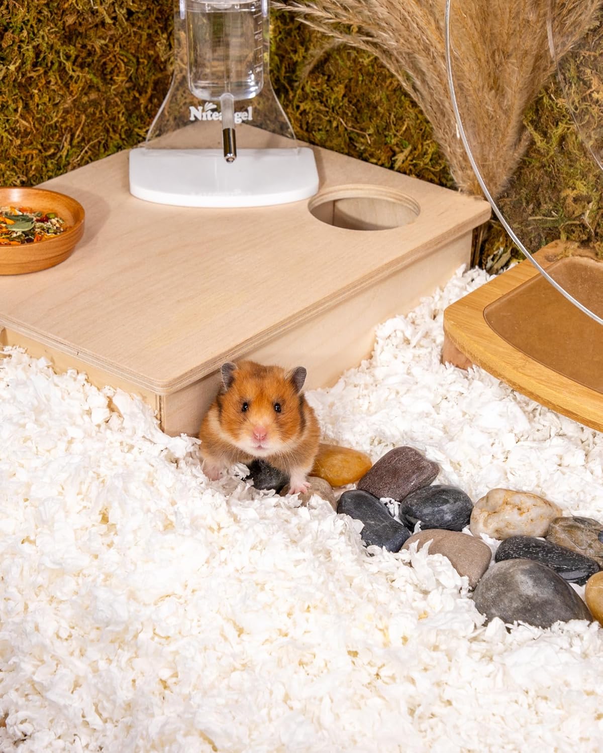 Niteangel Aspen Shaving Hamster Beddings for Syrian Dwarf Hamster Gerbil Mice Degu Rat Rabbit Bunny Guinea Pig Chinchilla Hedgehog or Other Small Pets (65L - White Paper Bedding)