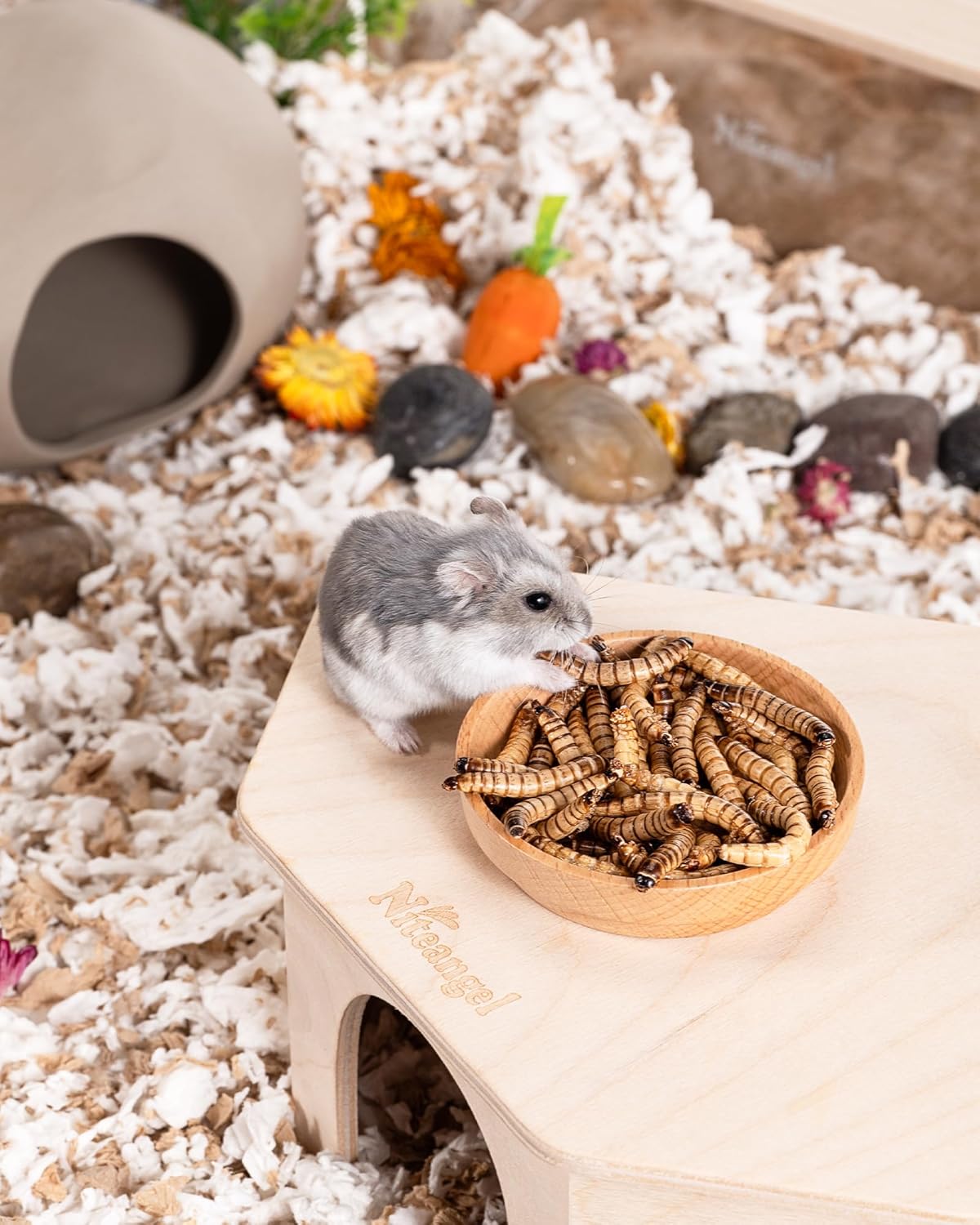 Niteangel Small Animal Snack & Treats - Small Critter Natural Treat for Dwarf Syrian Hamsters Gerbils Mice Sugar Glider Hedgehogs Chickens Birds (Freeze-Dried Worms- 1.4oz (40g))