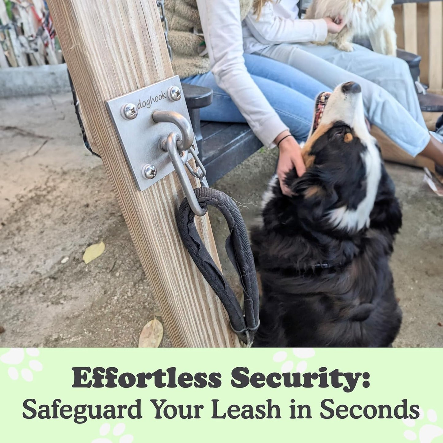 Canine Hitch- Secure Dog Leash Parking Indoor- Outdoor Wall Hook with EZ Clip - Tie Out Stainless Steel - Practical Lead Management for Home & Business