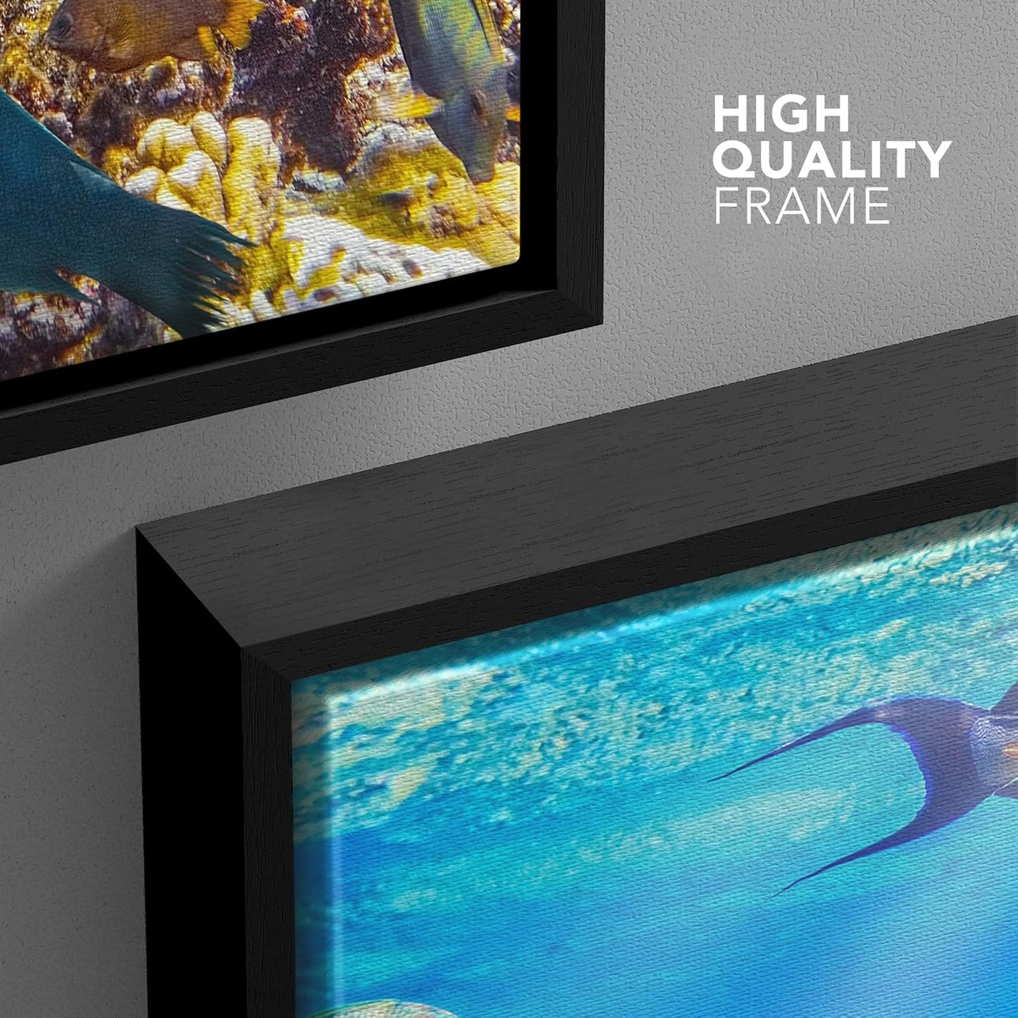 wall26 Framed Canvas Print Wall Art Sunlight Ocean Sea Coral Reef Anemone Fish Nature Animals Realism Rustic Scenic Landscape Wilderness Earth for Living Room, Bedroom, Office - 24"x36" Black