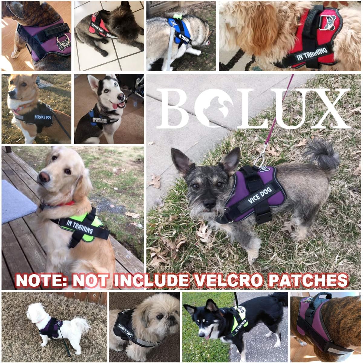 Bolux Dog Harness, No-Pull Reflective Dog Vest, Breathable Adjustable Pet Harness with Handle for Outdoor Walking - No More Pulling, Tugging or Choking (Dark Green, M)