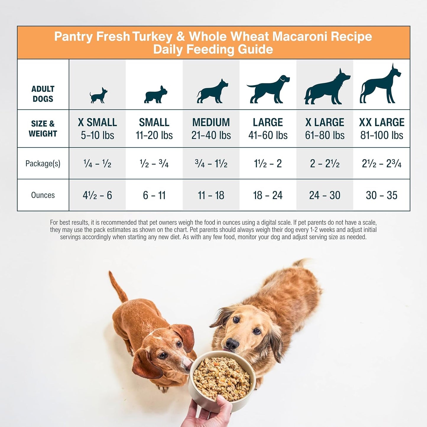 JustFoodForDogs Pantry Fresh Wet Dog Food Complete Meal or Dog Food Topper, Turkey & Whole Wheat Macaroni Human Grade Dog Food Recipe - 12.5 oz (Pack of 12)