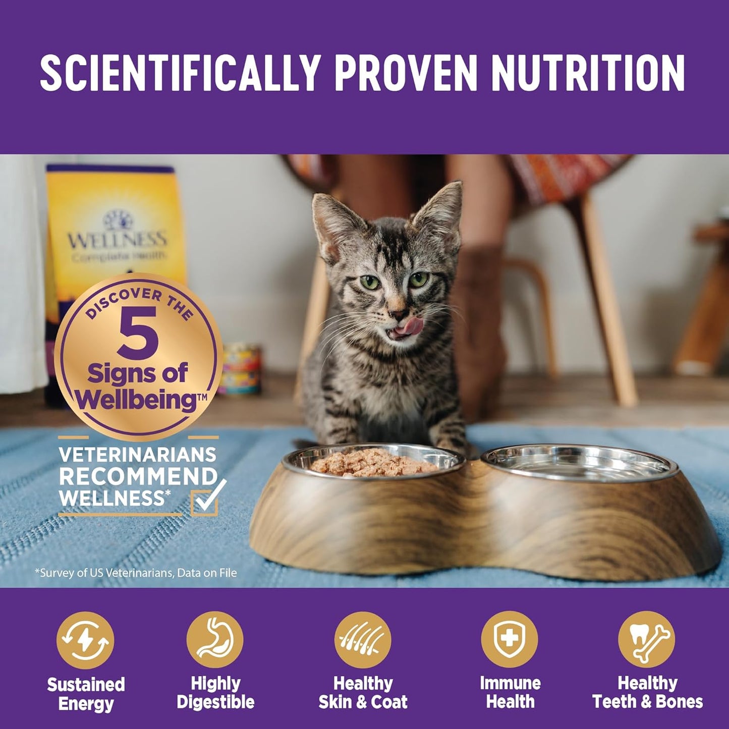 Wellness Complete Health Cubed Adult Wet Cat Food, Natural, Protein-Rich, Grain Free, 5.5 Ounce, 24 Pack, (Chicken Entrée)