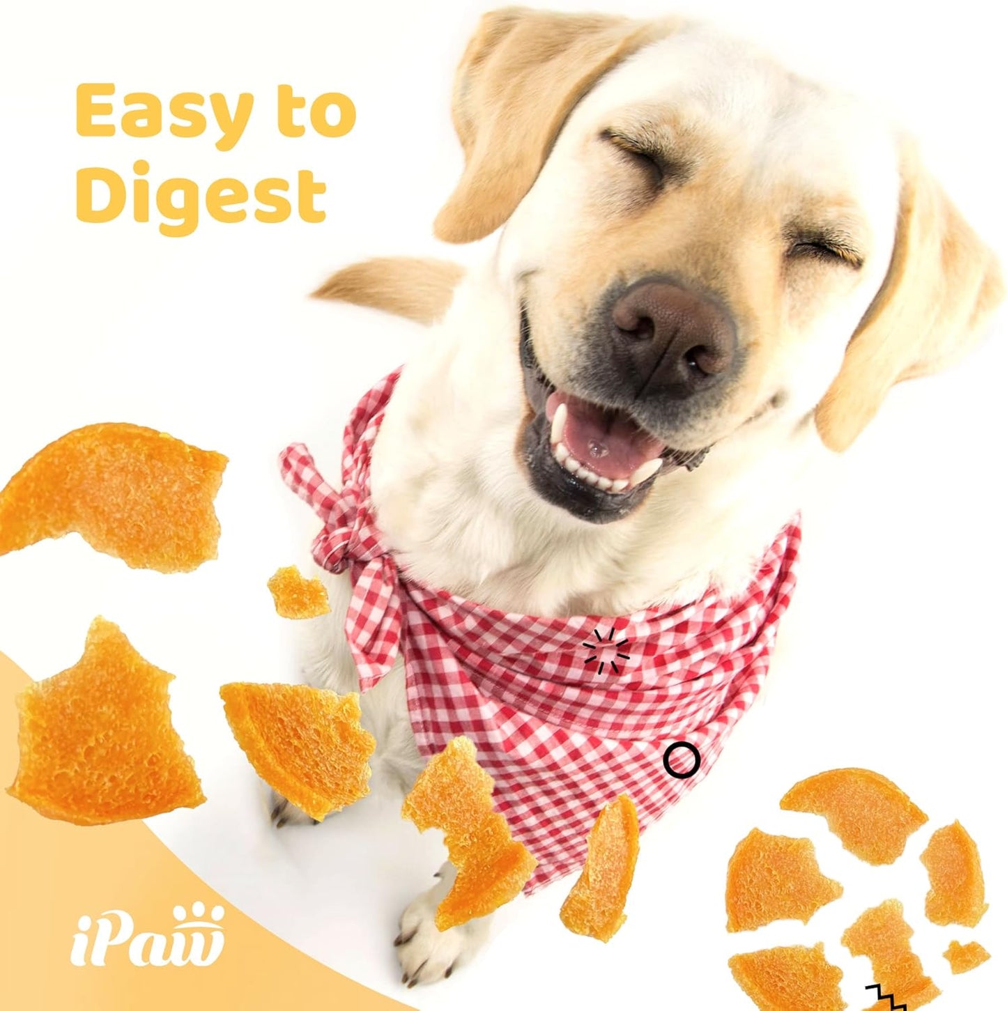 iPaw Chicken Chips Dog Treats for Puppy Training, All Natural Human Grade Dog Treat, Hypoallergenic, Easy to Digest (Chicken Chips)