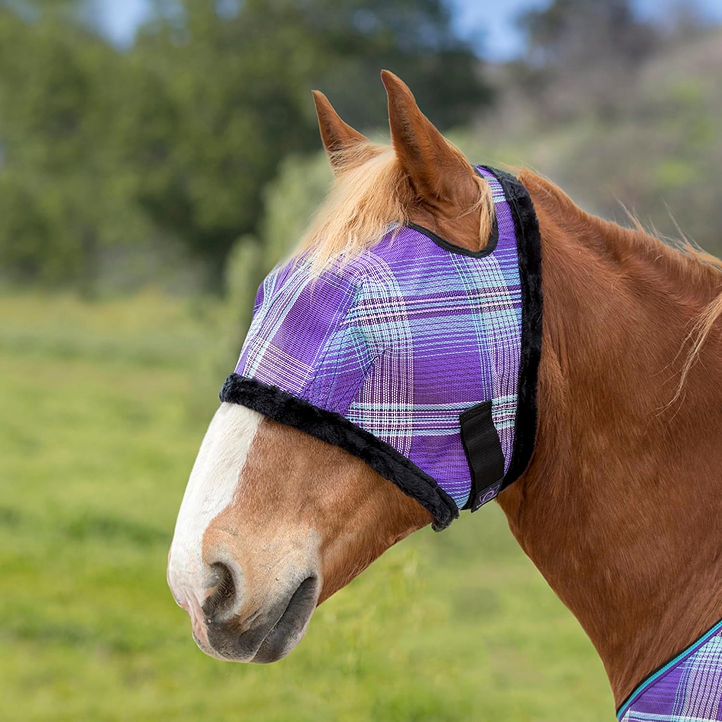 Kensington Fly Mask with Fleece Trim for Horses — Protects Face and Eyes Helps Block Sun Rays While Allowing Full Visibility — Breathable and Non Heat Transferring