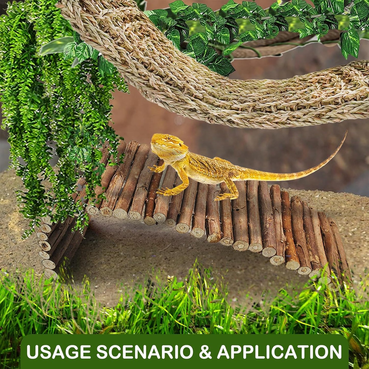 kathson Reptile Wooden Bridge,Bearded Dragon Hammock Decor Wood Reptile Hideout Hut Terrarium Hanging Plants Climbing Accessories Reptiles Hide Caves for Snake Gecko Lizard Tortoise (3 Pcs)