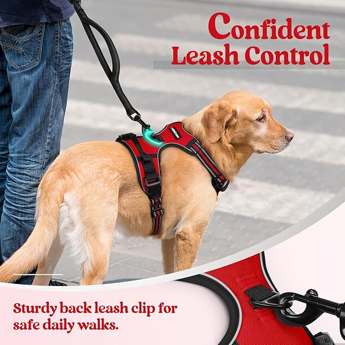 rabbitgoo Dog Harness No Pull with 2 Leash Clips, Adjustable Soft Padded, Reflective Oxford No Choke Pet Vest with Easy Control Handle for Medium Sized Dogs, Red, M