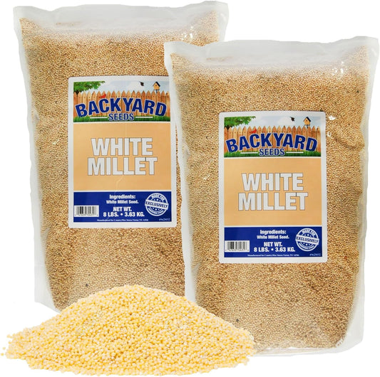 CountryMax White Proso Millet Unhulled Bulk Wild Bird Seed (16 Pounds)
