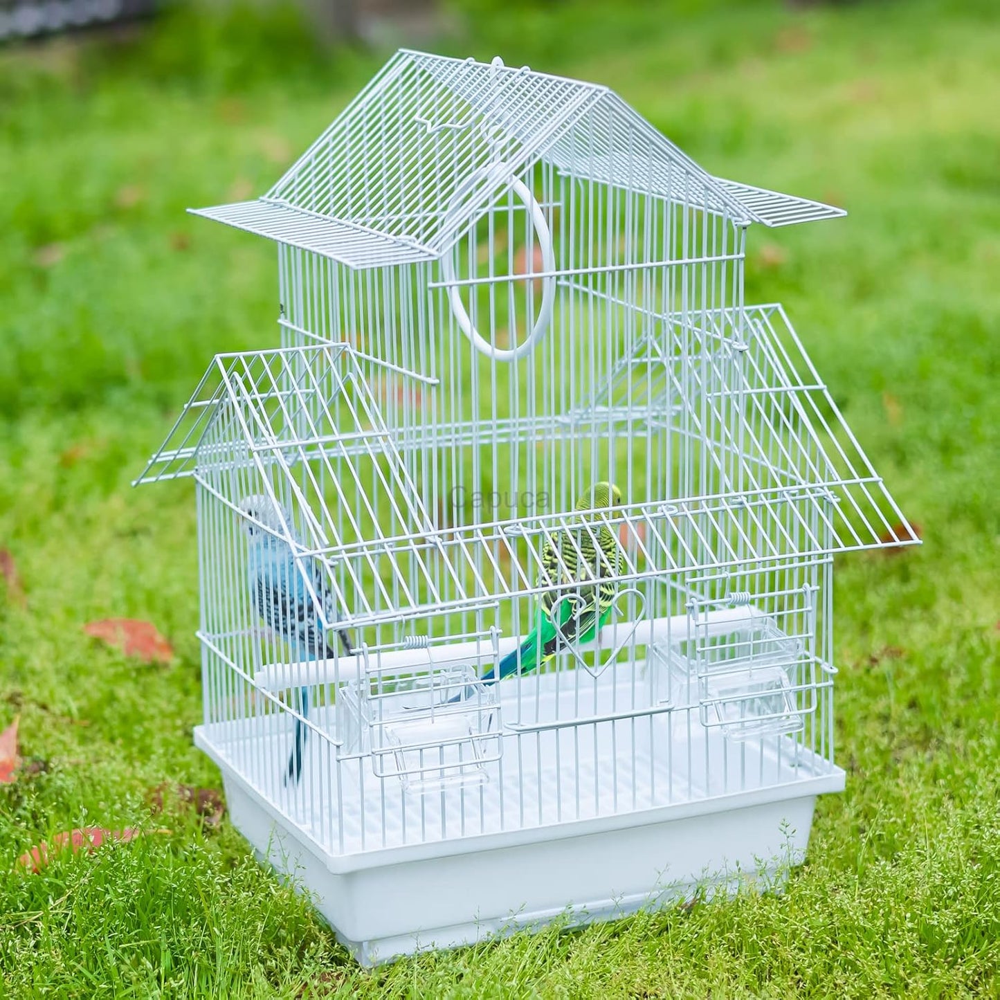 Small Bird Travel Cage - The Lightweight Small Birds Starter Kit with Birdcages and Accessories Great for Parakeets Lovebirds Parrotlets Finches Canaries