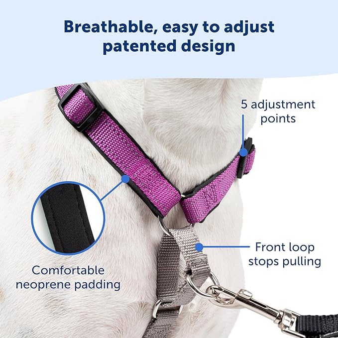 PetSafe 3 in 1 Dog Harness - No Pull Solution for Dogs - Reflective Dog Harness - Front D-Ring Clip Helps Stop Pulling - Comfortable Padded Straps - Top Handle Enhances Control - Black - Small