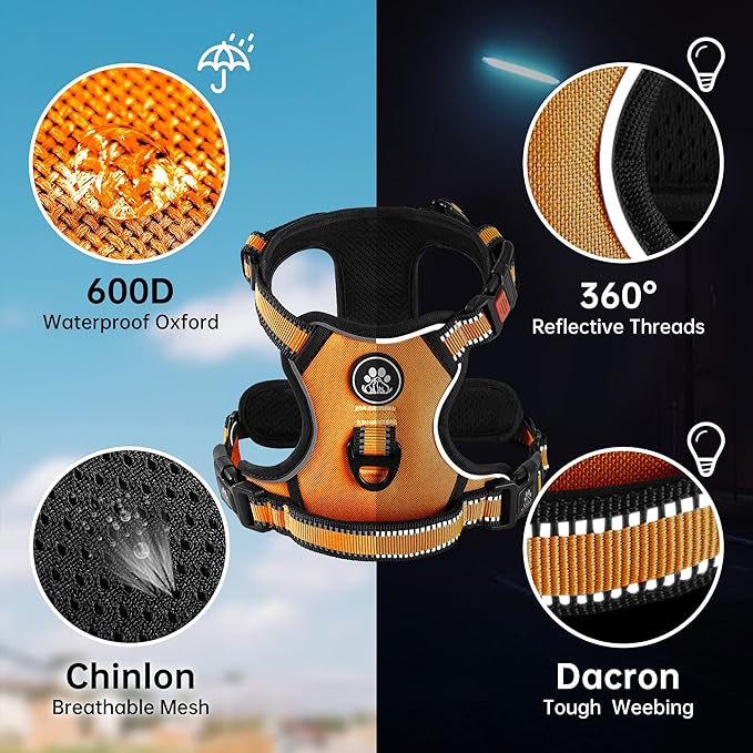 NESTROAD No Pull Dog Harness,Adjustable Oxford Dog Vest Harness with Leash,Reflective No-Choke Pet Harness with Easy Control Soft Handle for Small Dogs(Small,Orange)