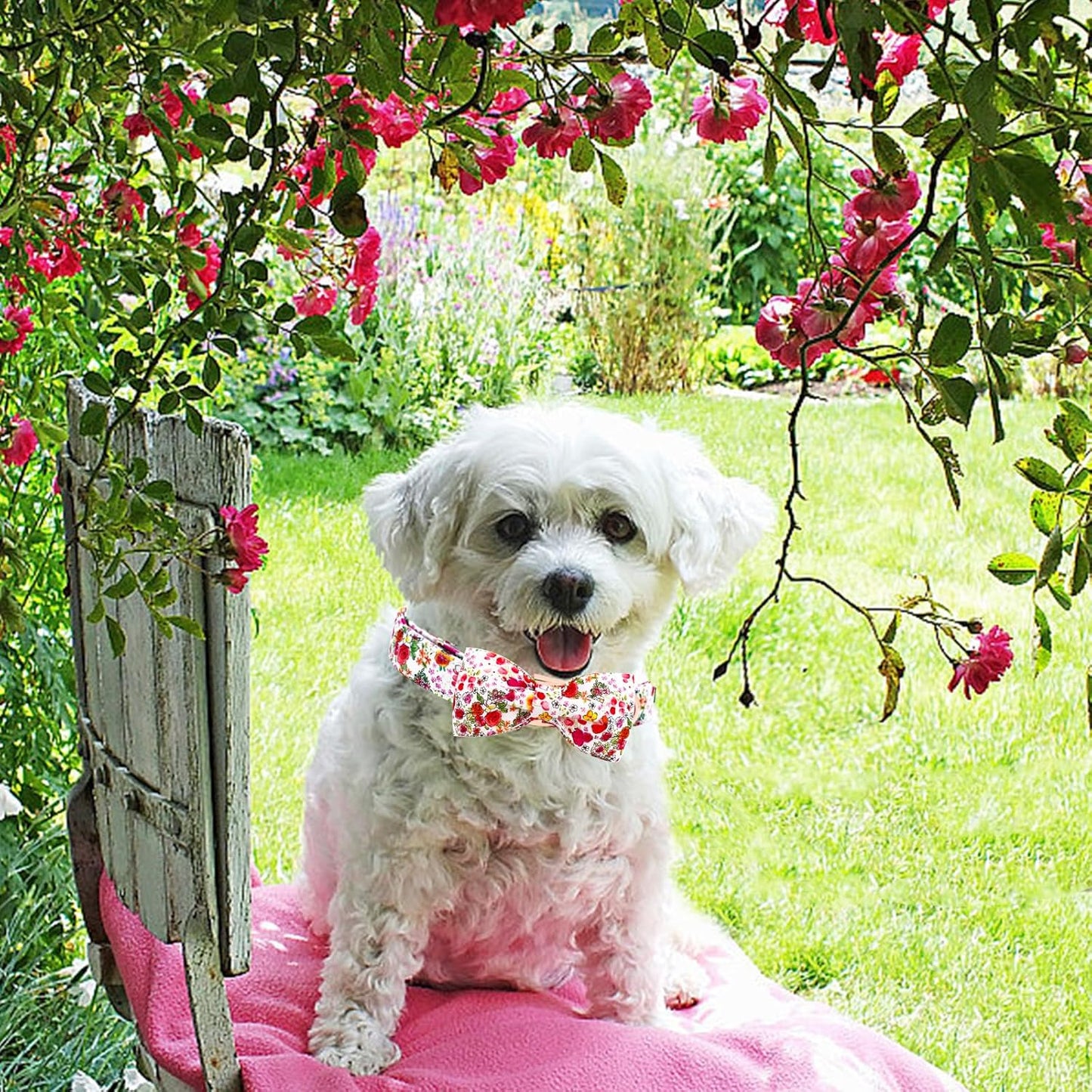 Elegant little tail Dog Collar, Pink Rose Print Pet Collar Summer Dog Collar Durable Metal Buckle Dog Collars Cotton Pet Adjustable Dog Collars for Large Dogs